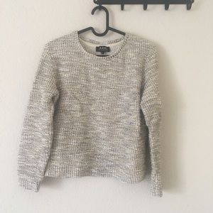APC Cotton Blend Knit Metallic Sweatshirt Sz S